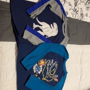 Boys Dinosaur Longsleeves